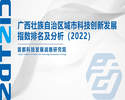 胖逼日逼视频【成果发布】广西壮族自治区城市科技创新发展指数排名及分析（2022）